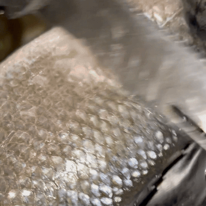 NordSax – mångsidiga saxar, sex-i-en funktion